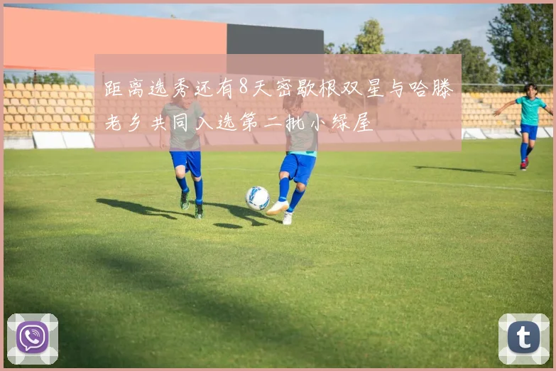 距离选秀还有8天密歇根双星与哈滕老乡共同入选第二批小绿屋