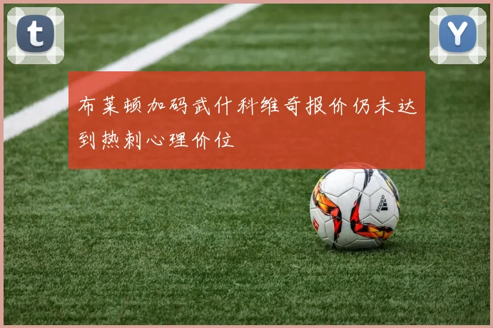 布莱顿加码武什科维奇报价仍未达到热刺心理价位